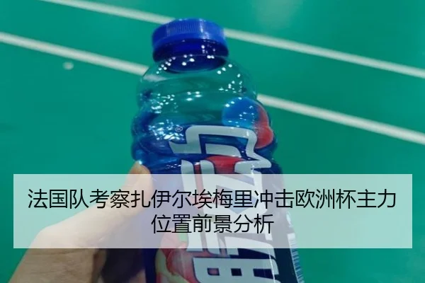 法国队考察扎伊尔埃梅里冲击欧洲杯主力位置前景分析